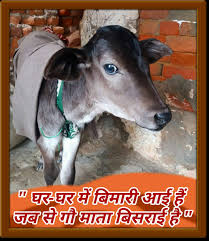 संवेदनशीलता और जागरूकता अभियान