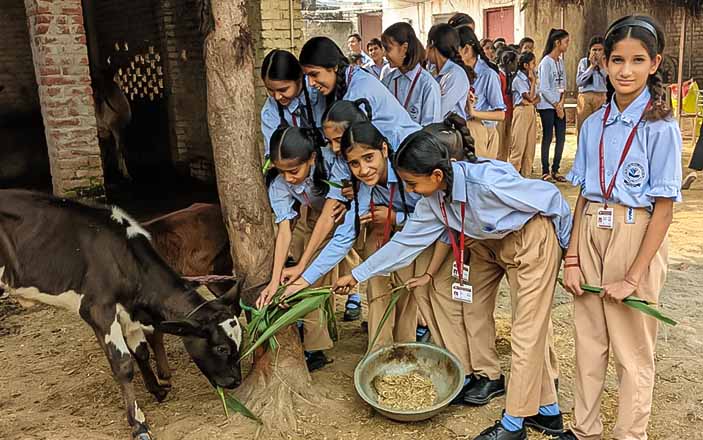 बाल गोसेवक