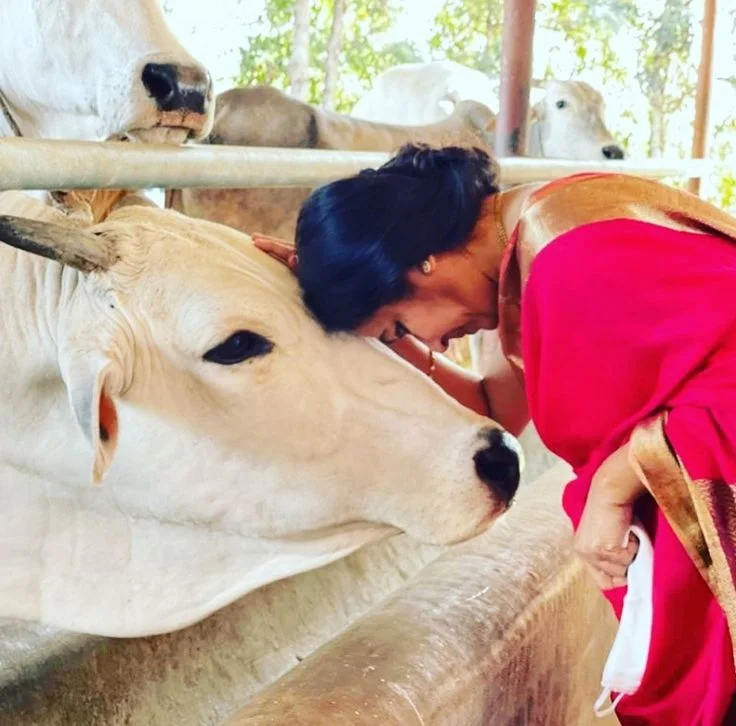 गाय गोद लो योजना